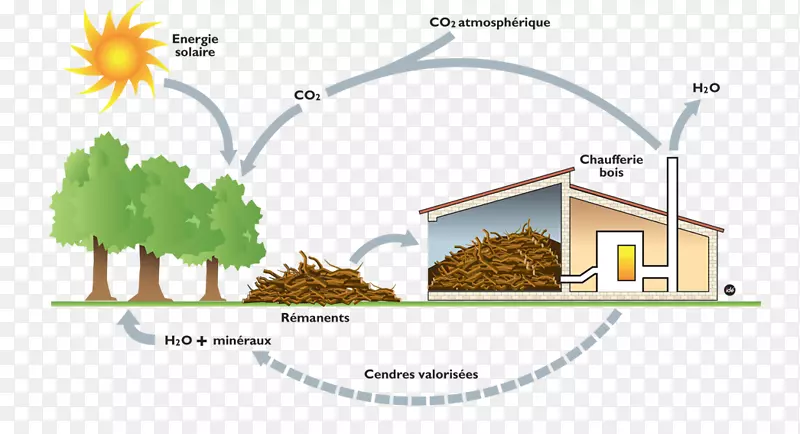 生物质能源木柴煤燃烧