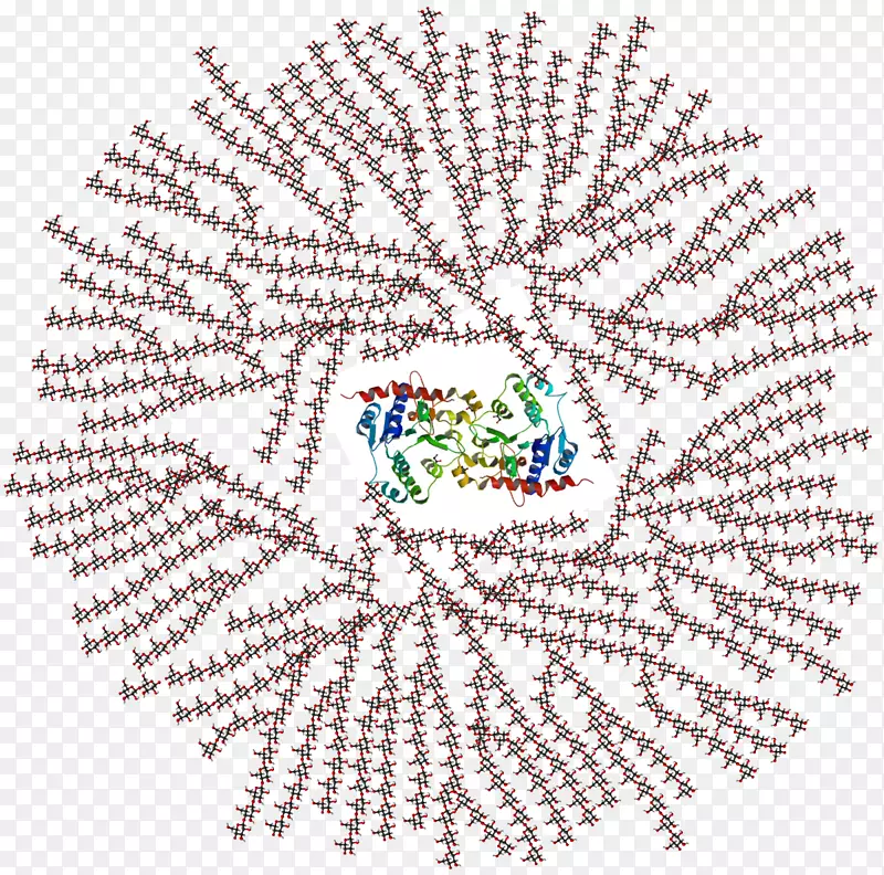 糖原解多糖分支糖蛋白颗粒
