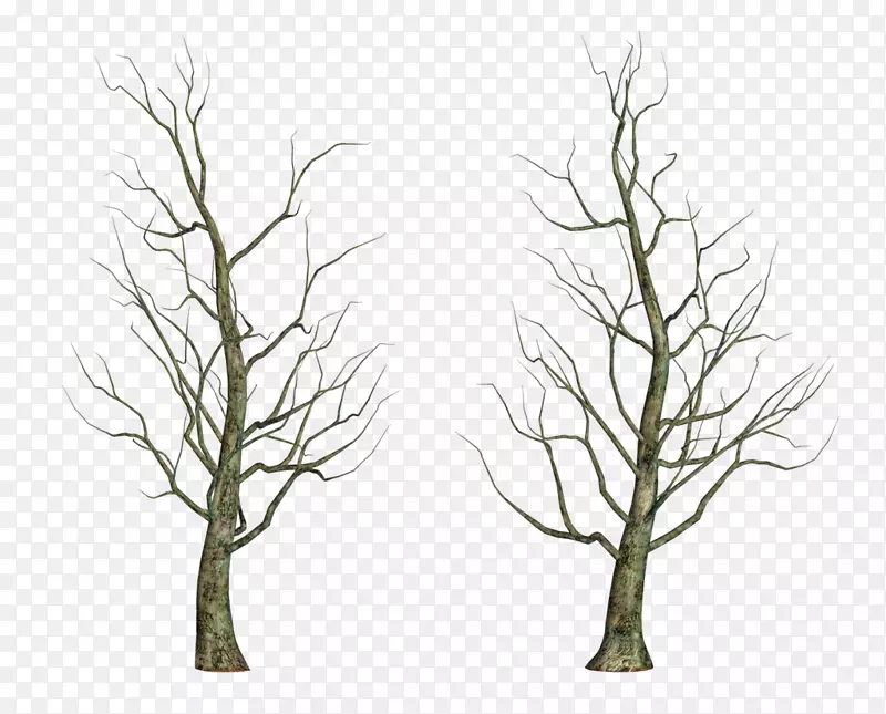 绘画剪贴画.冬季树木