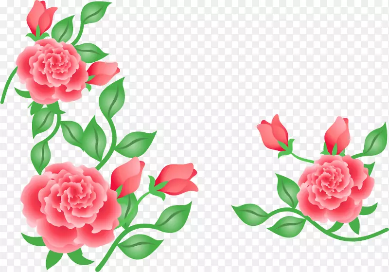 花园玫瑰，花卉设计，切花，康乃馨-浪漫的婚礼邀请与玫瑰