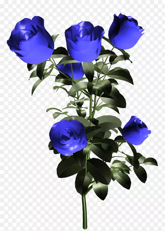 蓝玫瑰花园玫瑰花进口