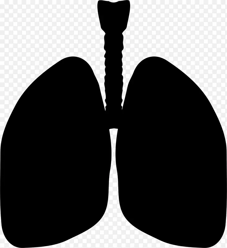肺电脑图标剪贴画