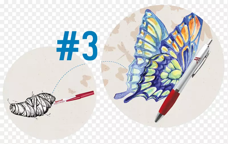 蝴蝶美丽的蝴蝶：自然奇观绘画-科博尔德西服创意组合