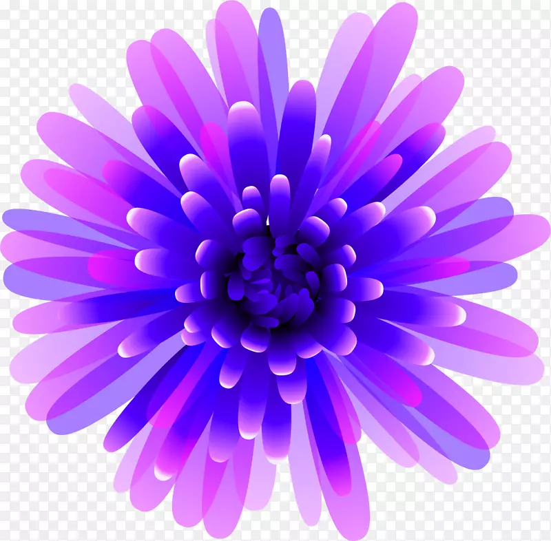 紫花粉红剪贴画-紫色