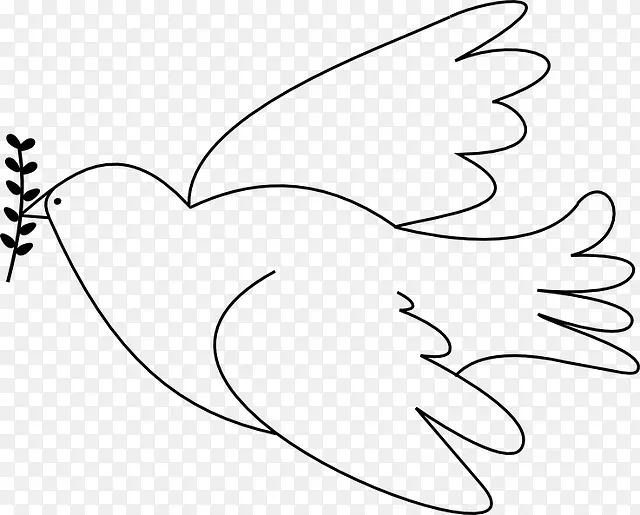 岩鸽科鸽子作为画和平鸽子图案的符号
