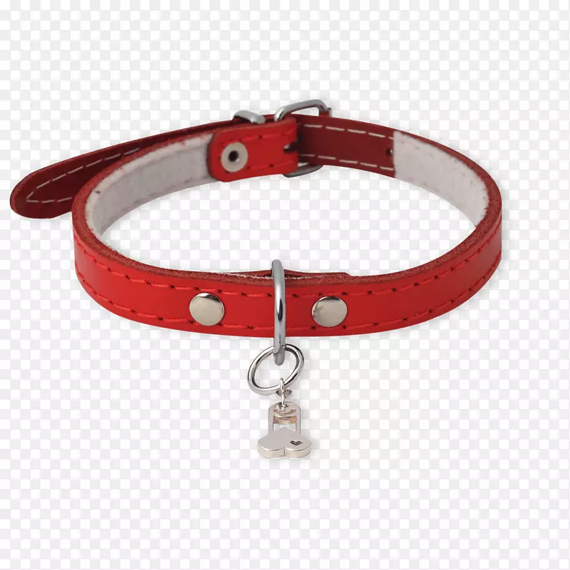 荷兰珠宝首饰欧米茄a项链-带项圈的狗