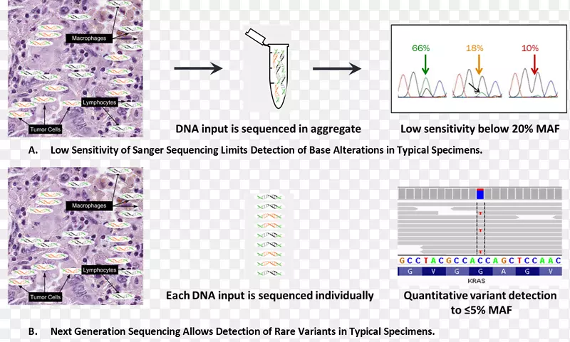 大规模并行DNA测序癌症基因组测序桑格测序-癌症变异细胞
