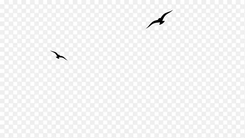 喙鸟迁徙鹤字体-金公鸡