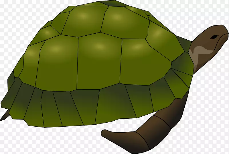 海龟常见的截击龟夹艺术-海龟