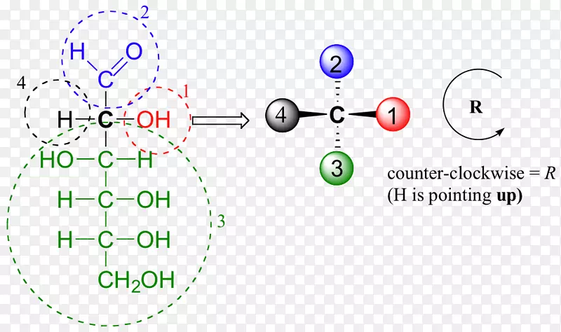 Fischer投影葡萄糖立体化学等价点Haworth投影-圆标号