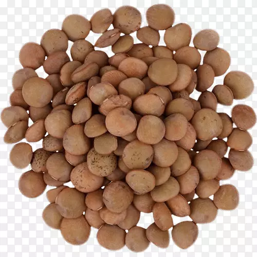 扁豆埃塞俄比亚料理食物蛋白质素食干无花果