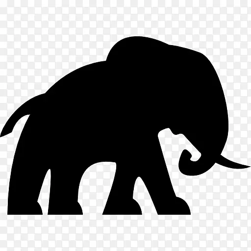非洲大象野生动物回声大象-动物园载体