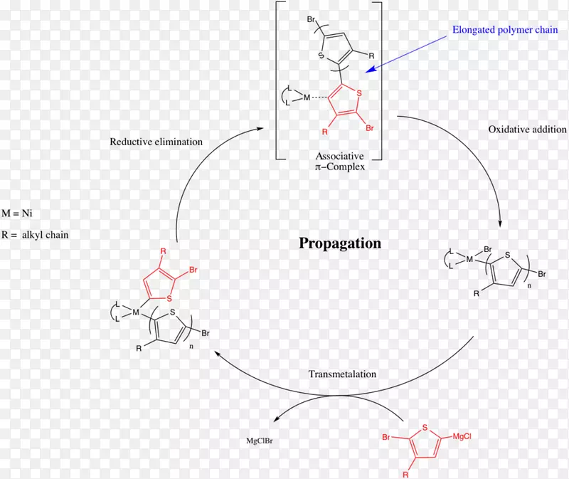 步进聚合活聚合链生长聚合链转移总则