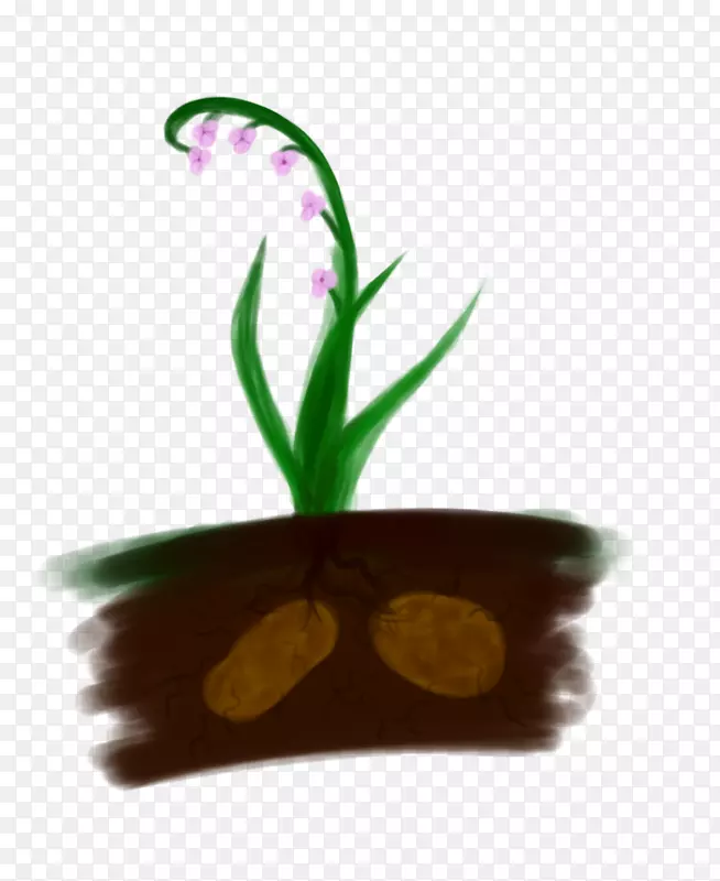 叶花盆植物茎-浅色花