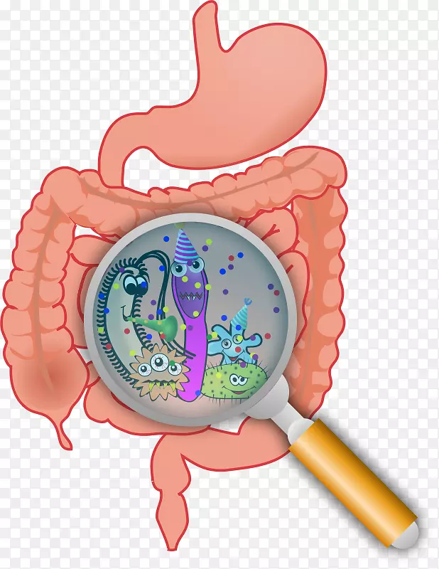 胃肠道菌群大肠微生物小肠钱袋