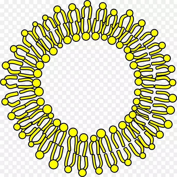 细胞膜生物膜剪辑艺术-细胞剪贴画