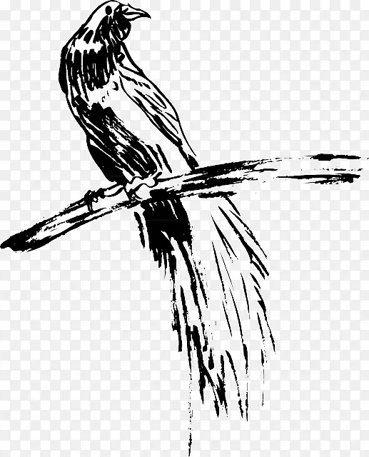 鸟鹰羽毛翼线艺术色彩羽毛背景