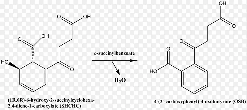 化学反应催化烯醇化酶脱水反应化学反应化合物化学反应