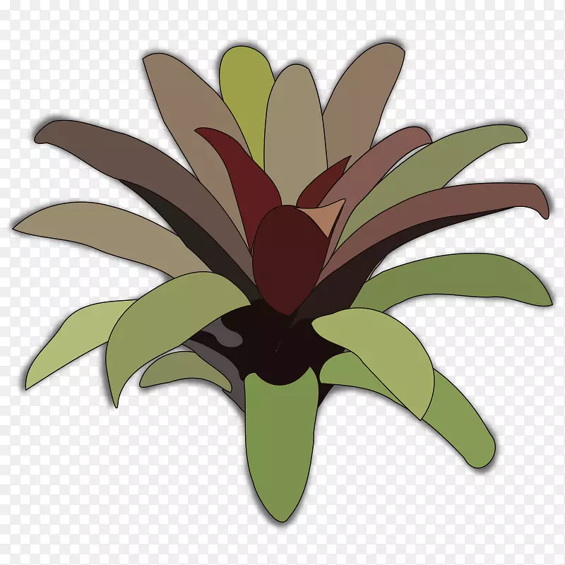 电脑图标溴化木植物剪贴画-植物花