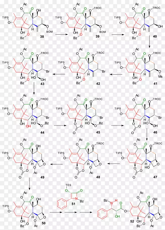 紫杉醇全合成，化学合成-合成