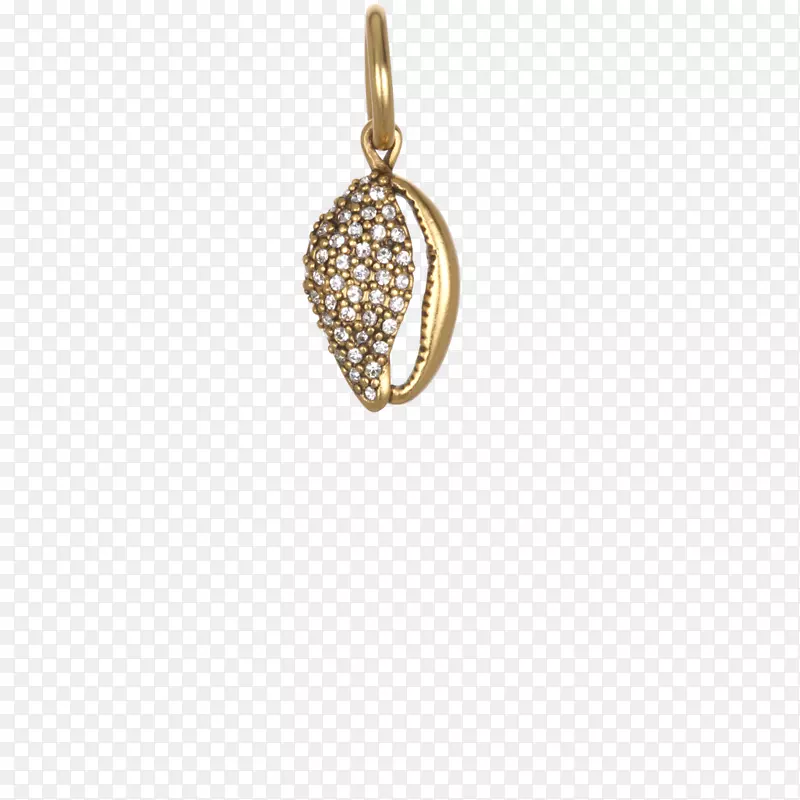 耳环护身符珠宝魅力手镯项链金菠萝