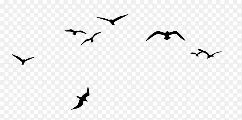 鸟群v形剪贴画-创意乌鸦