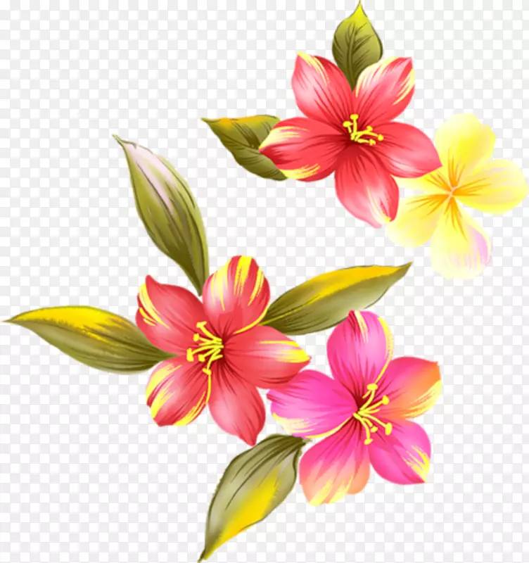 花卉花瓣设计-花卉