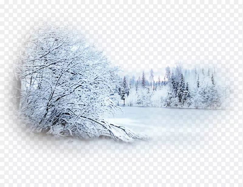 雪冬季暴风雪桌面壁纸景观-雪