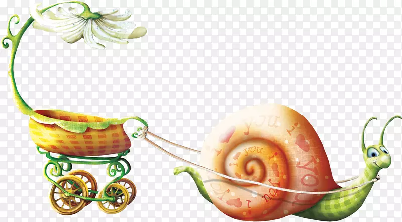 绘制动画-美丽的蜗牛