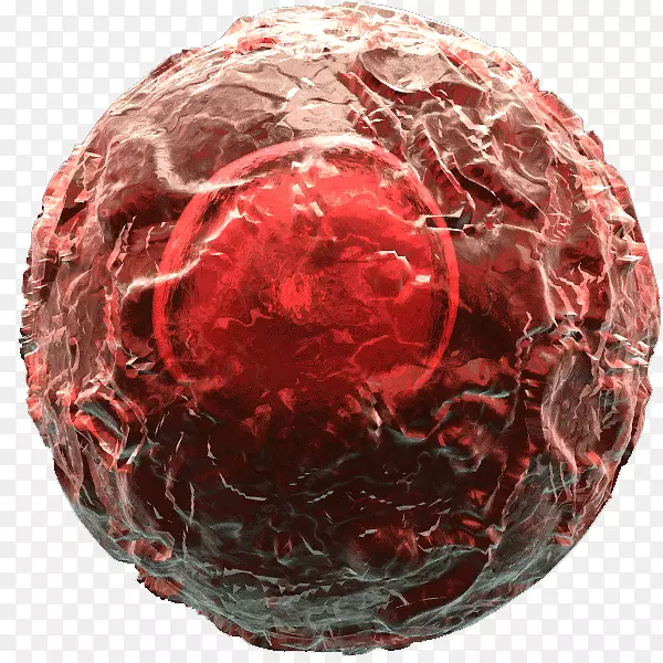 调节性t细胞辅助性17细胞巨噬细胞自然杀伤细胞-球状病原体的癌细胞