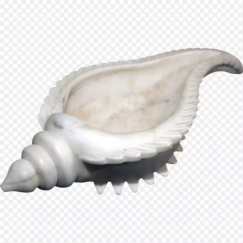 山哈海螺贝壳胫骨大理石海螺形砚