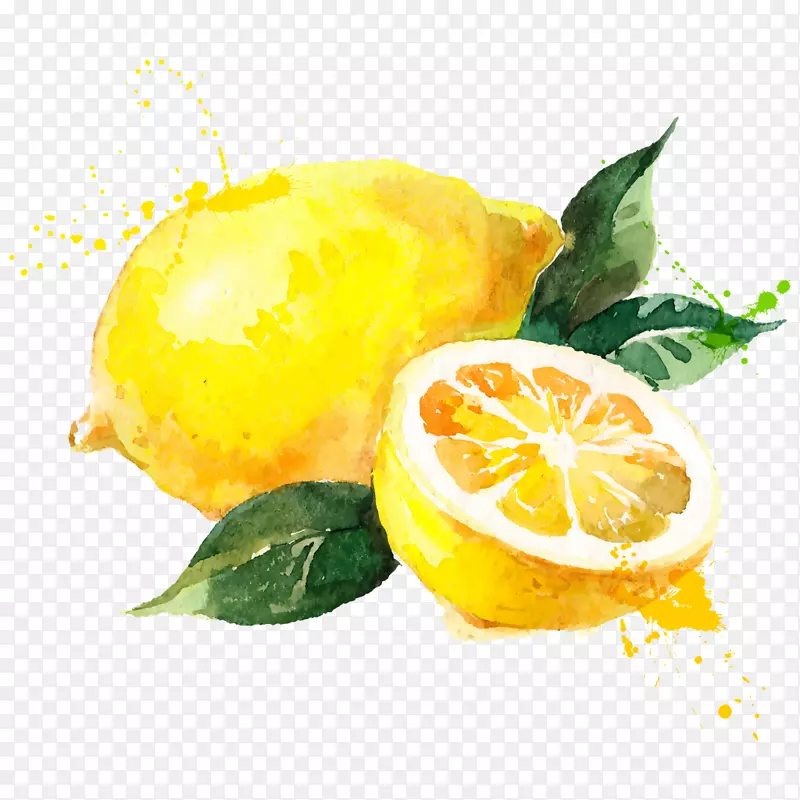 水彩画柠檬版税-iphone 6