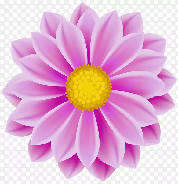 粉红花卉剪贴画-粉红色花朵香水