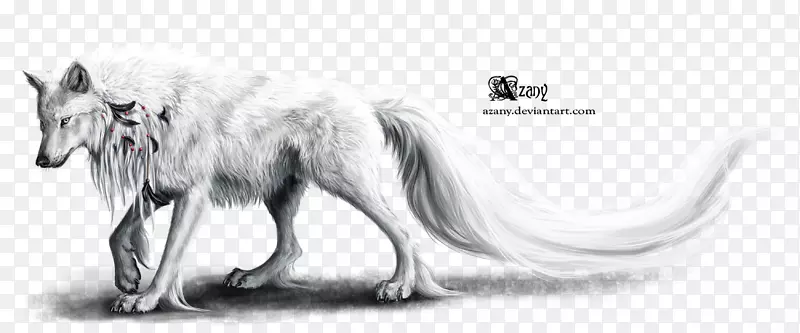 黑狼狗北极狼羽毛桌面壁纸-狼精神