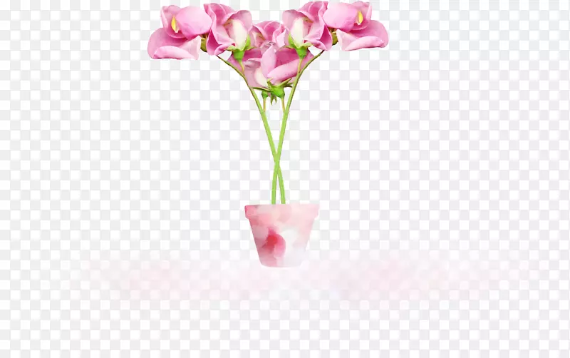 飞蛾兰花花瓶切花静物摄影-粉红色创意富花