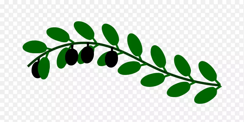 橄榄枝鸽象征剪贴画.橄榄树