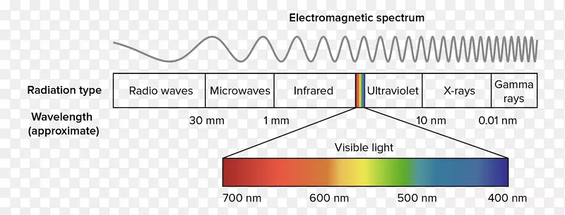 光光合作用颜色可见光谱吸收光辐射