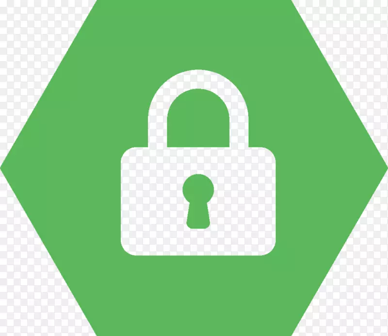 信息管理-计算机安全.绿色六边形