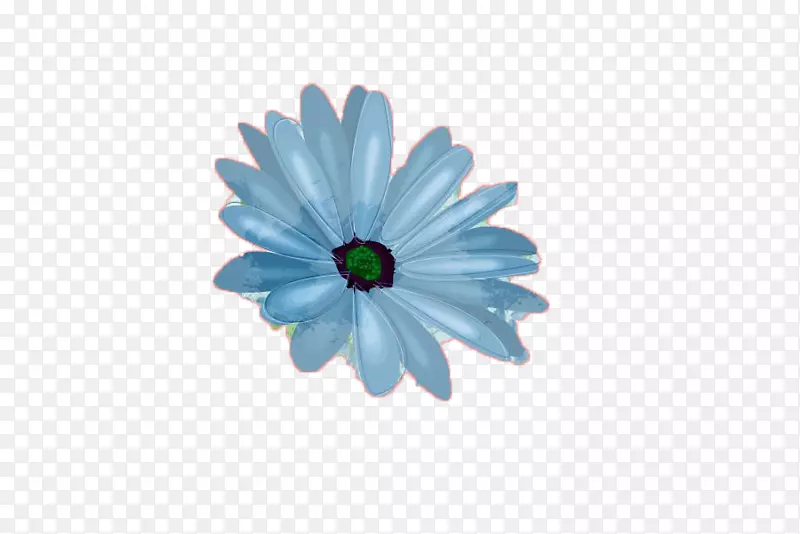 花卉摄影素描-雏菊