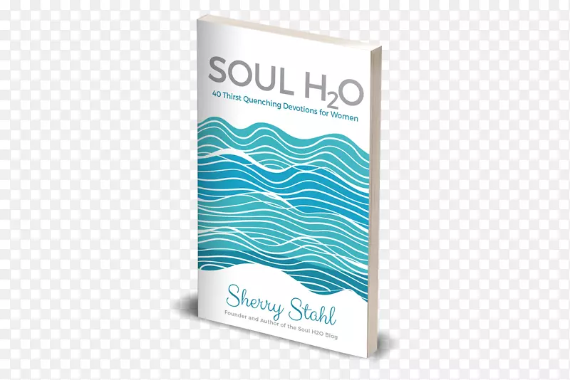 灵魂H2O：40位女性的解渴祈祷书，新的国际版，作者-食谱