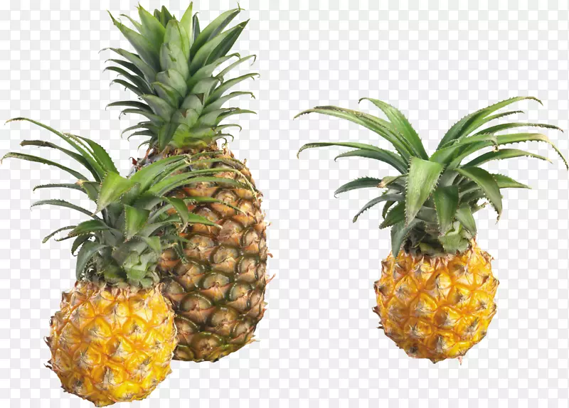 菠萝热带水果食品-菠萝