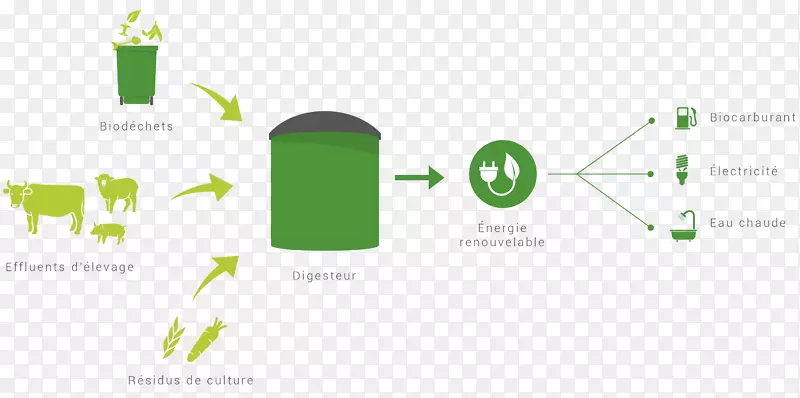 沼气厌氧消化可再生能源作物-欧元