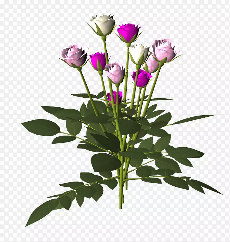 花园玫瑰切花蜈蚣玫瑰剪裁艺术花