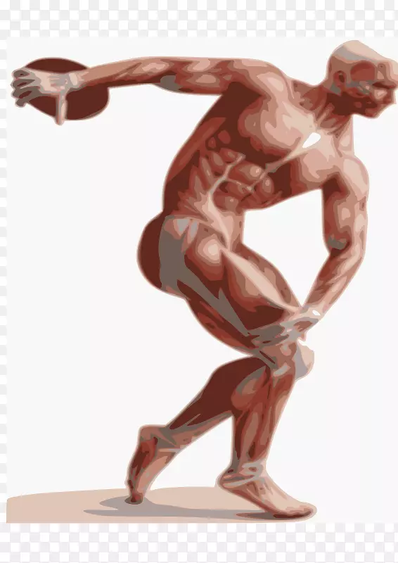 神经肌肉快速袖珍参考肌核心运动解剖学-4