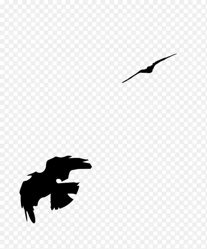鸟肉乌鸦艺术-黑色乌鸦