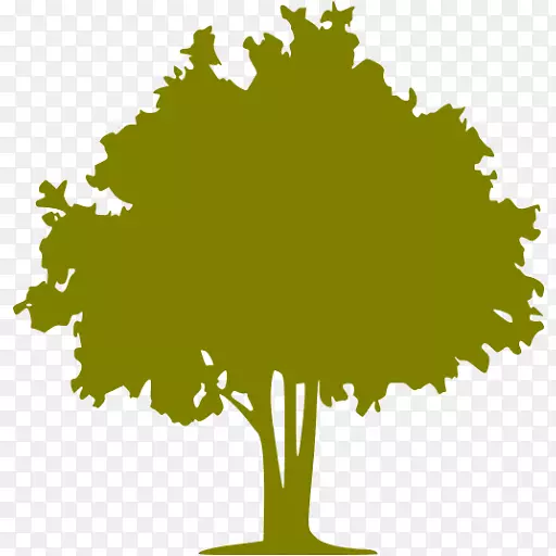 电脑图标橄榄树颜色橄榄树