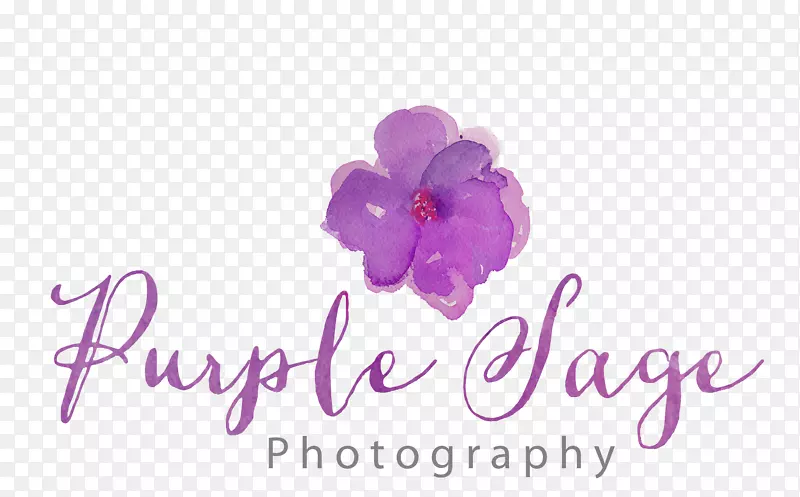 紫鼠尾草摄影肖像摄影.紫色葡萄标志