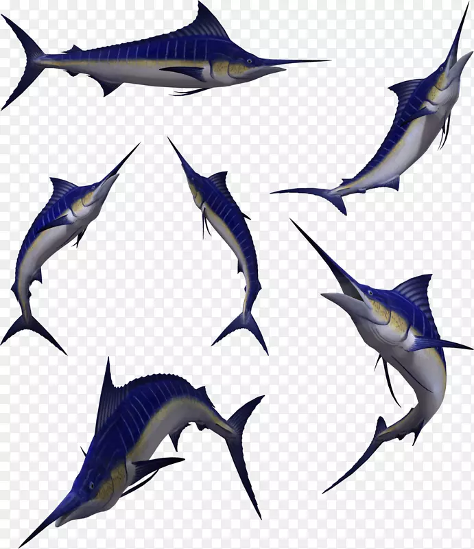 箭鱼大西洋蓝马林鱼夹艺术-鱼球