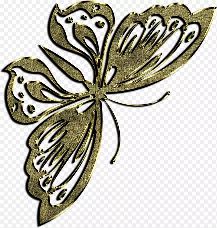 昆虫翅膀对称开花植物剪贴画.精致花边