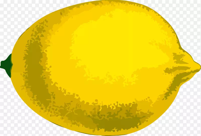 柠檬水甜柠檬梅耶柠檬